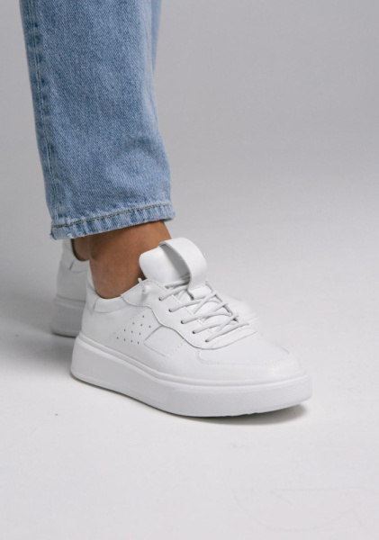 3095-23343-512-1-5 (2) 3095-23343-512-1-5 (2)