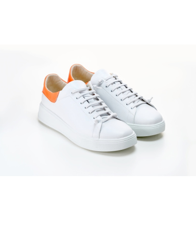 1168-23343-512-1-122