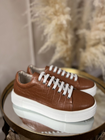 photo_2023-02-04_13-41-32