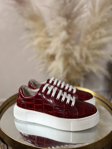 photo_2023-02-04_13-34-30 photo_2023-02-04_13-34-30