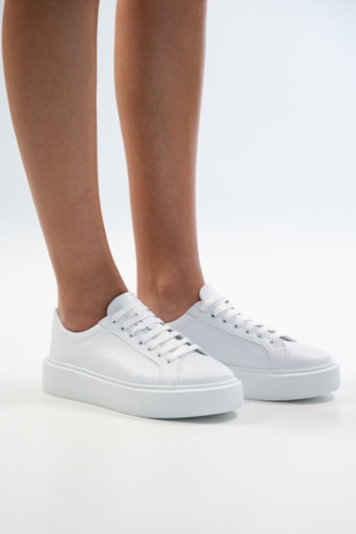 3066-18242-15-1-5 (3) 3066-18242-15-1-5 (3)