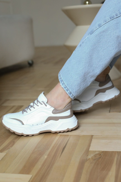 3080-23343-514-1-126 _1 3080-23343-514-1-126 _1