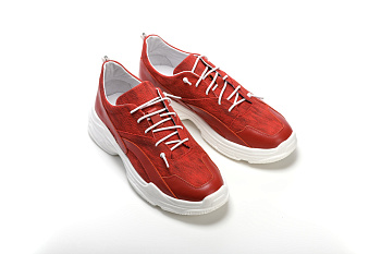 Кроссовки Diana  Кроссовки Diana