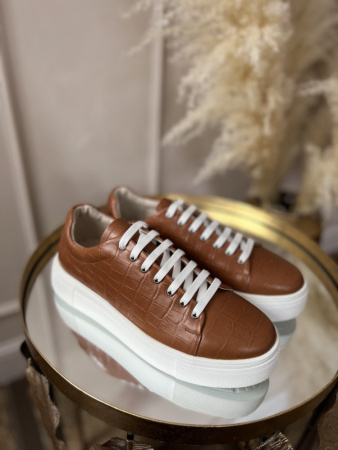 photo_2023-02-04_13-41-31