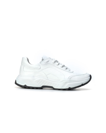 3080-23343-514-1-5 (2)