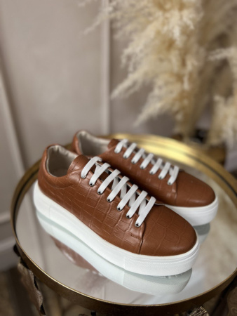 photo_2023-02-04_13-41-33