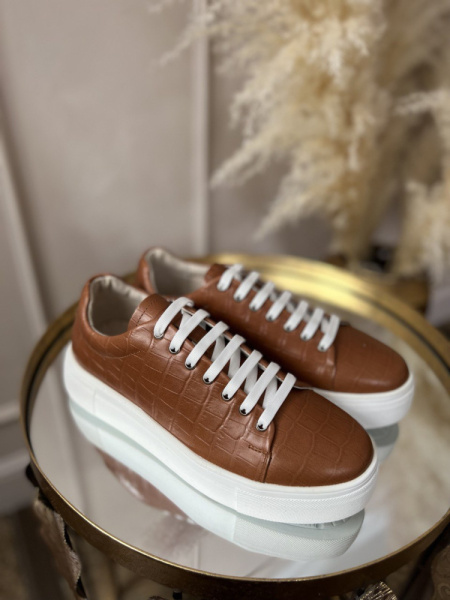 photo_2023-02-04_13-41-33 photo_2023-02-04_13-41-33