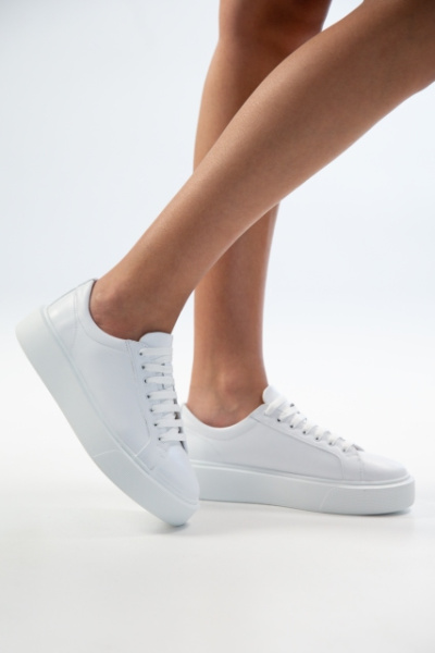 3066-18242-15-1-5 (4) 3066-18242-15-1-5 (4)